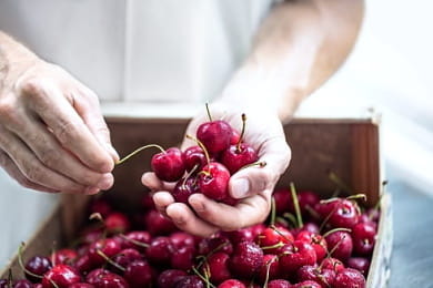 Ekologická produkce Alpe Pragas